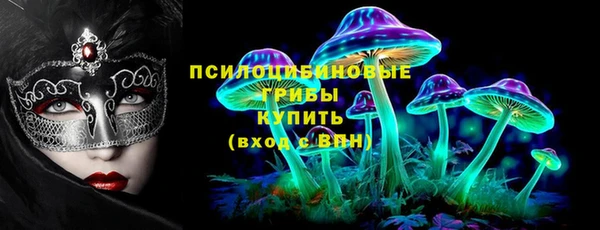 ПСИЛОЦИБИНОВЫЕ ГРИБЫ Волосово